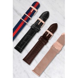 Stainless Steel Straps Pack